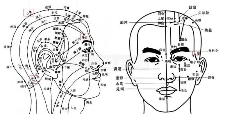 头部按摩器头皮按摩仪八爪鱼手动的脑部家用颈椎穴位经络揉捏电动